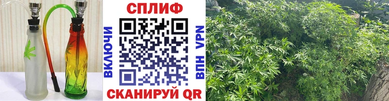 Каннабис конопля  Белебей 